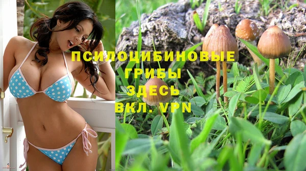 сатива Алексин