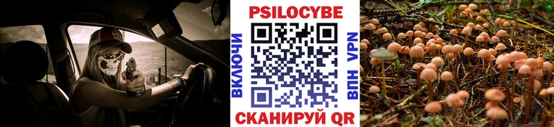 Псилоцибиновые грибы мицелий  купить наркоту  Апрелевка 