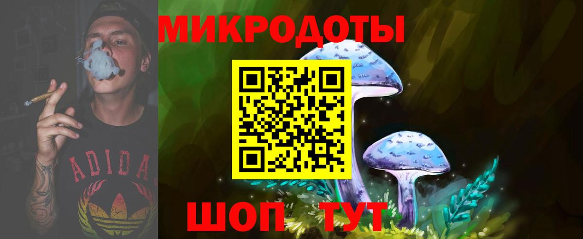Псилоцибиновые грибы GOLDEN TEACHER  Галлюциногенные грибы GOLDEN TEACHER  где продают наркотики  Апрелевка  Вход с VPN 